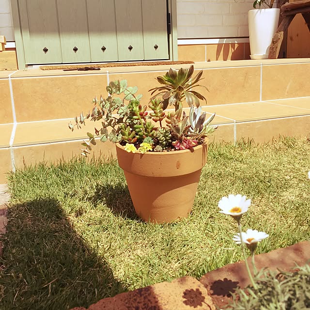 chisさんの実例写真