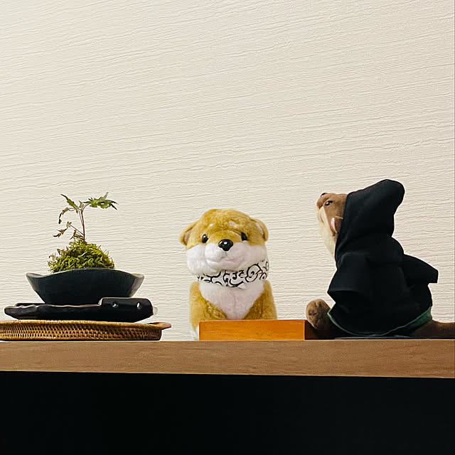 aureaさんの実例写真