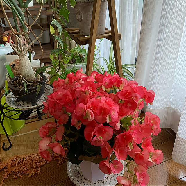 pakilaさんの実例写真