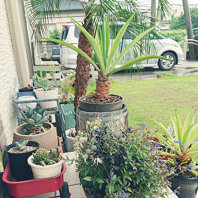 ot-gardenさんの実例写真