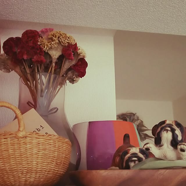 panchobiさんの実例写真