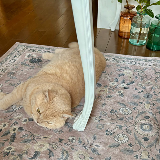 naokoさんの実例写真