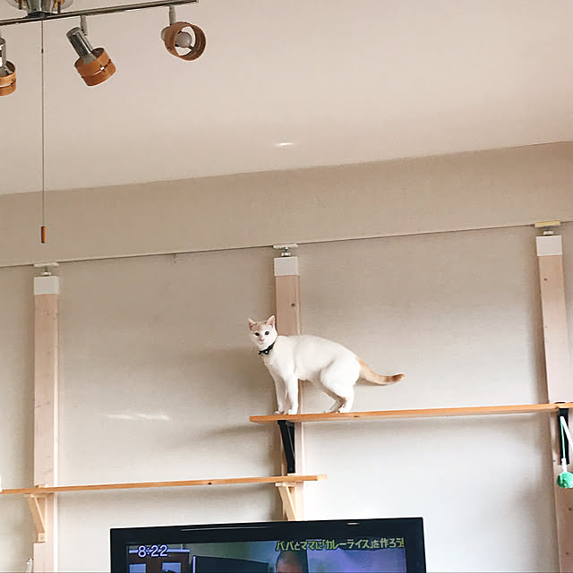 berripmz03さんの実例写真