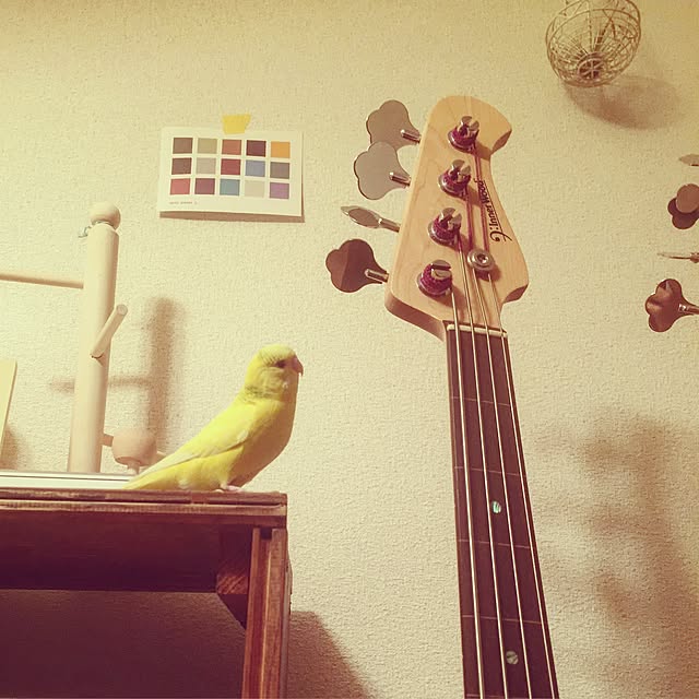 torihanaさんの実例写真