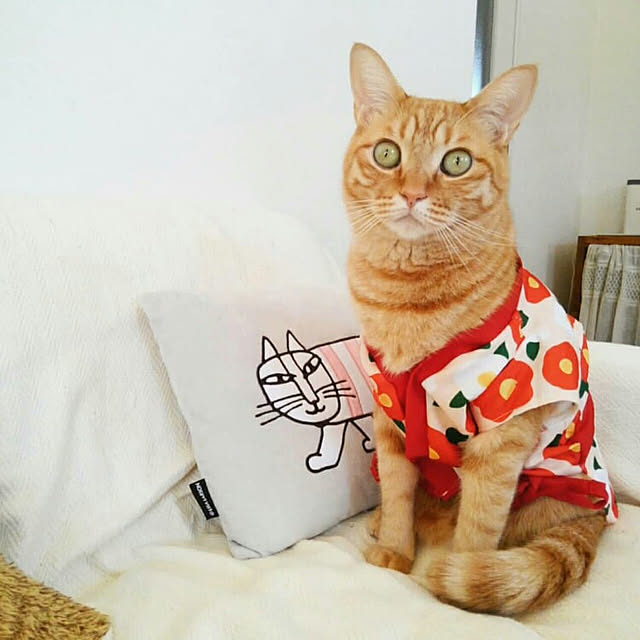 mayutan.さんの実例写真