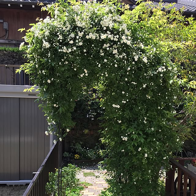 YUKIさんの実例写真