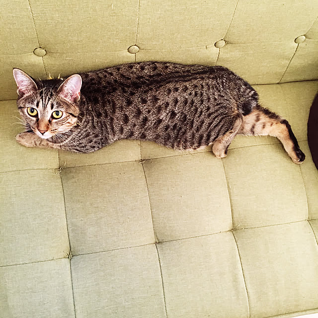 Mさんの実例写真