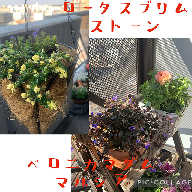 JUNさんの実例写真