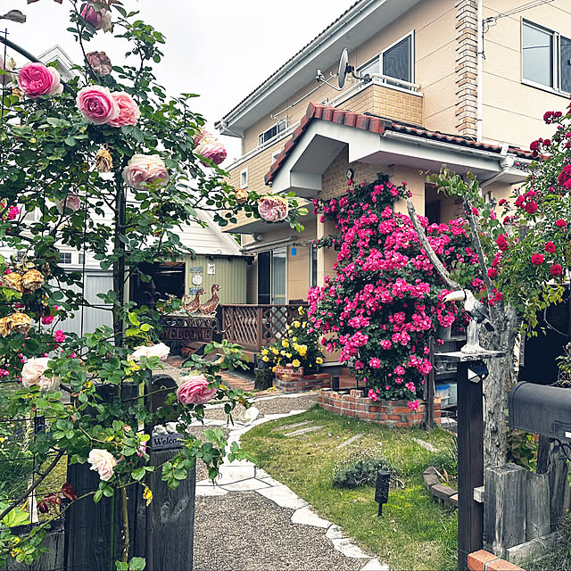 sawamiさんの実例写真