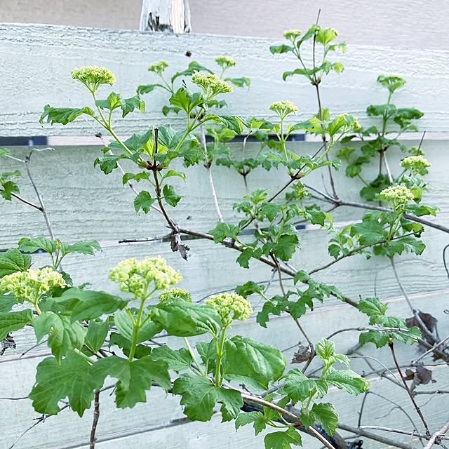 min_nimさんの実例写真