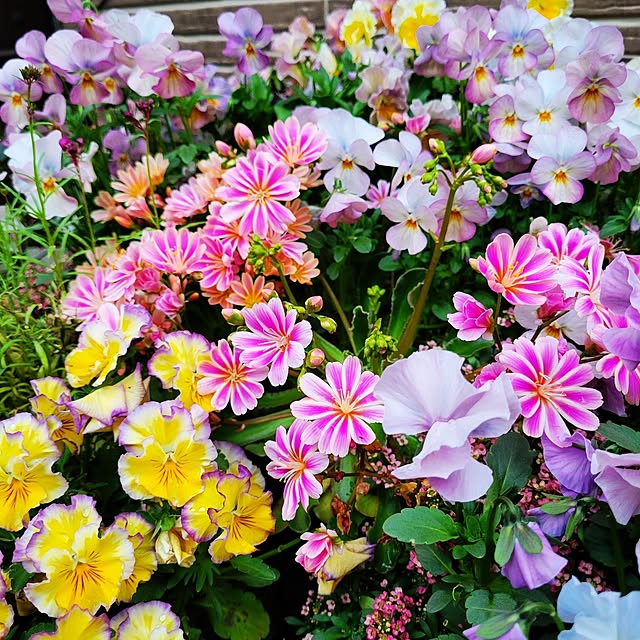 mimi828さんの実例写真