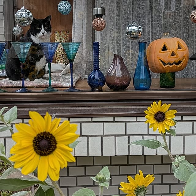 Mayumi8888さんの実例写真