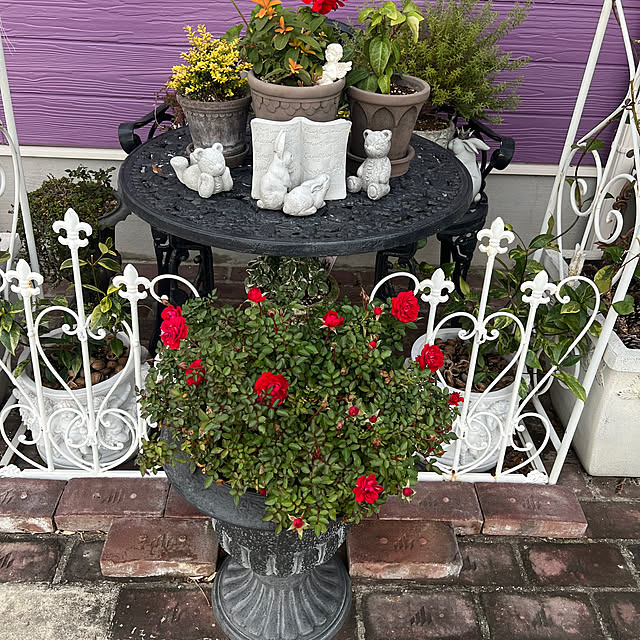 AYUKOさんの実例写真