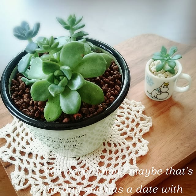 mintさんの実例写真