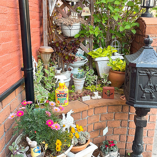 mukkuさんの実例写真