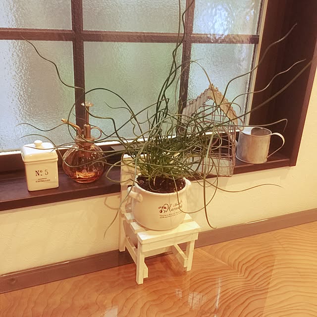 mam1231さんの実例写真
