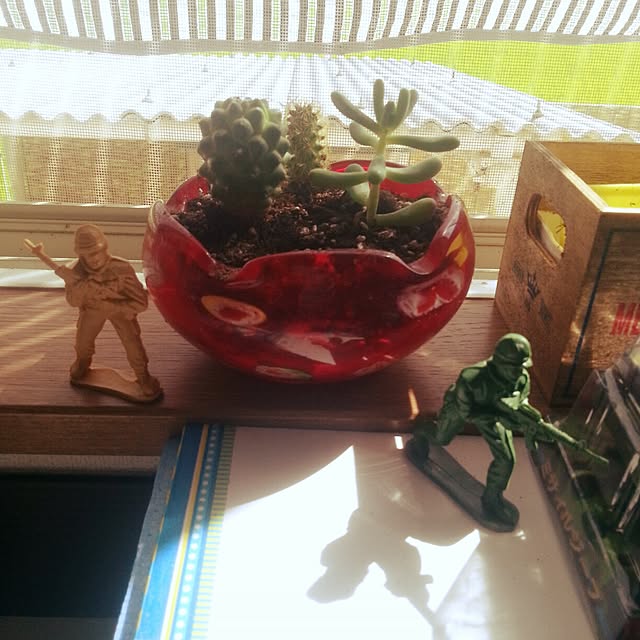 sandyさんの実例写真