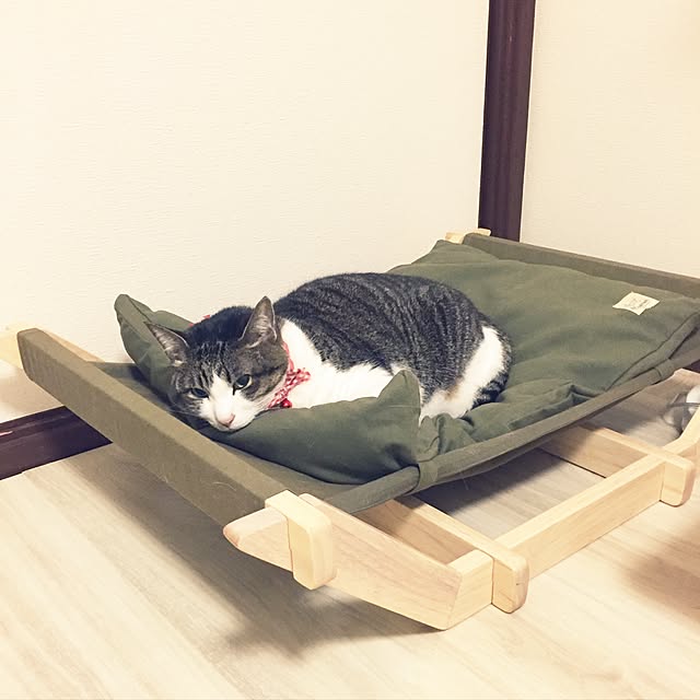 amutantanさんの実例写真