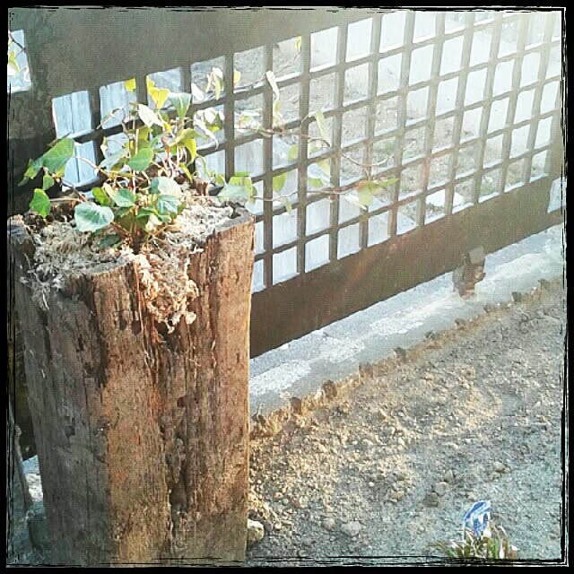 aiuekkoさんの実例写真