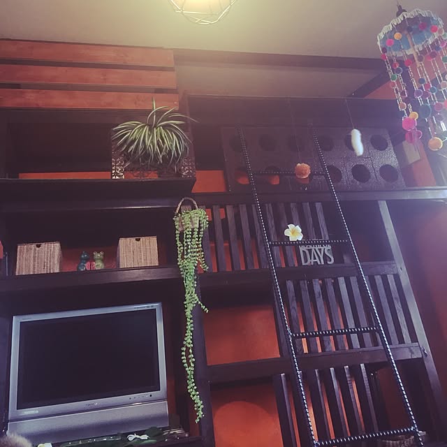 Minetteさんの実例写真