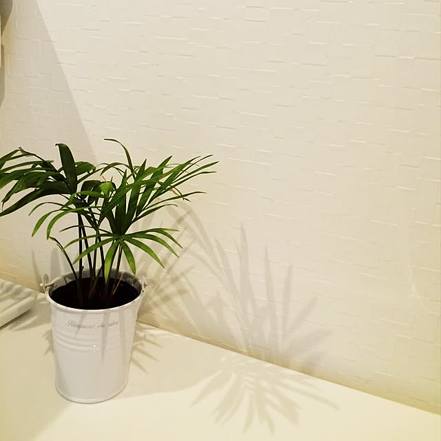Eriさんの実例写真