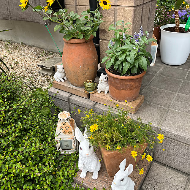 ritsukoさんの部屋
