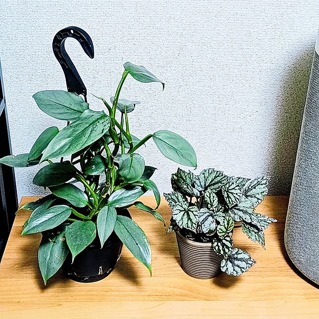 hanachanさんの部屋