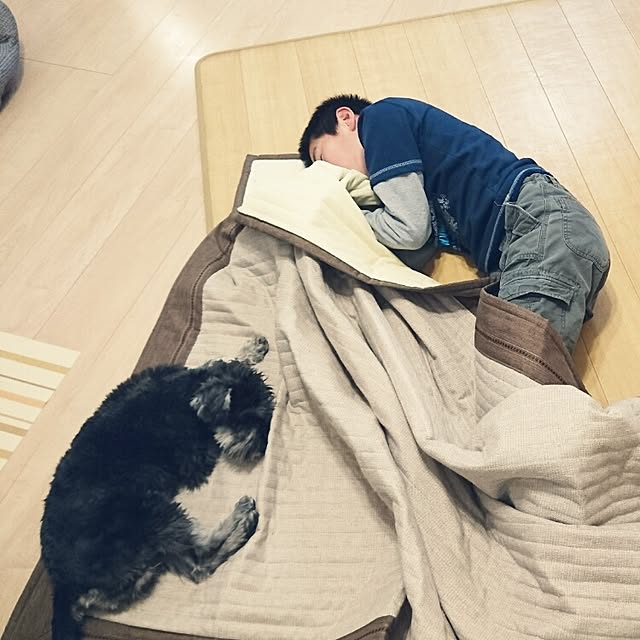 HoshiYukiさんの実例写真