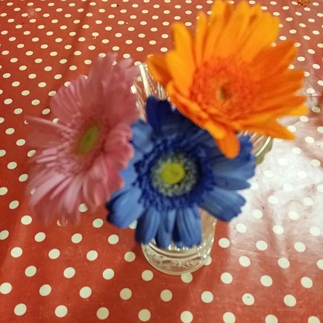 ninaさんの実例写真