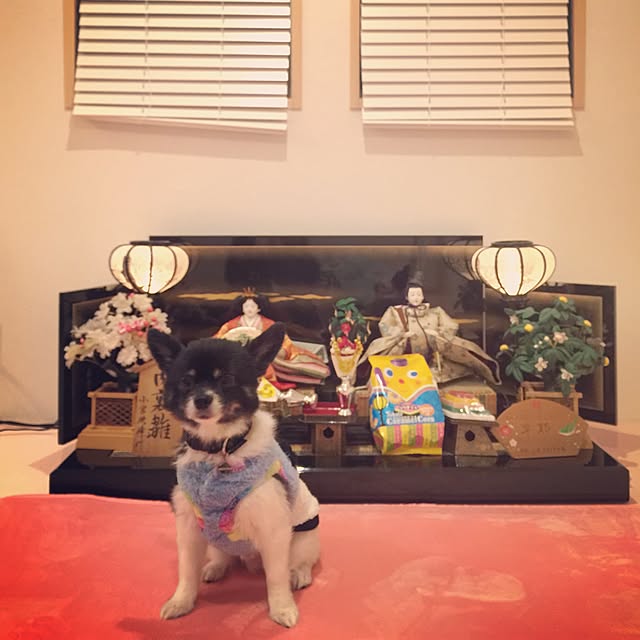 Pierreさんの実例写真