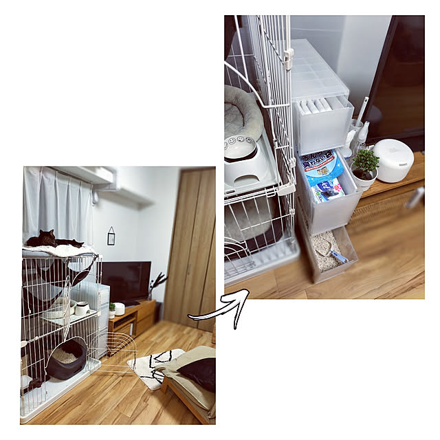 hihaさんの実例写真