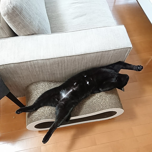 maikyさんの実例写真