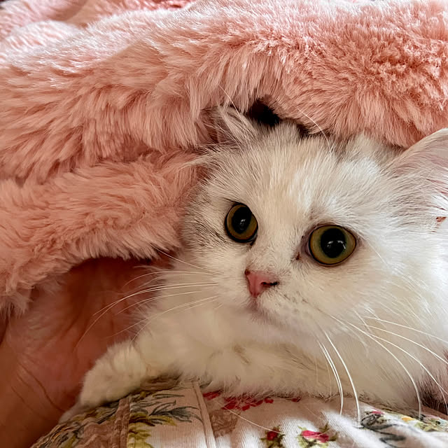 AYUKOさんの部屋