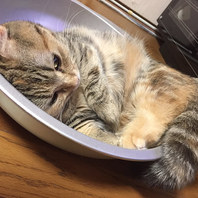 keibooさんの実例写真