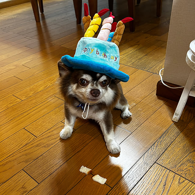 chIoeさんの部屋