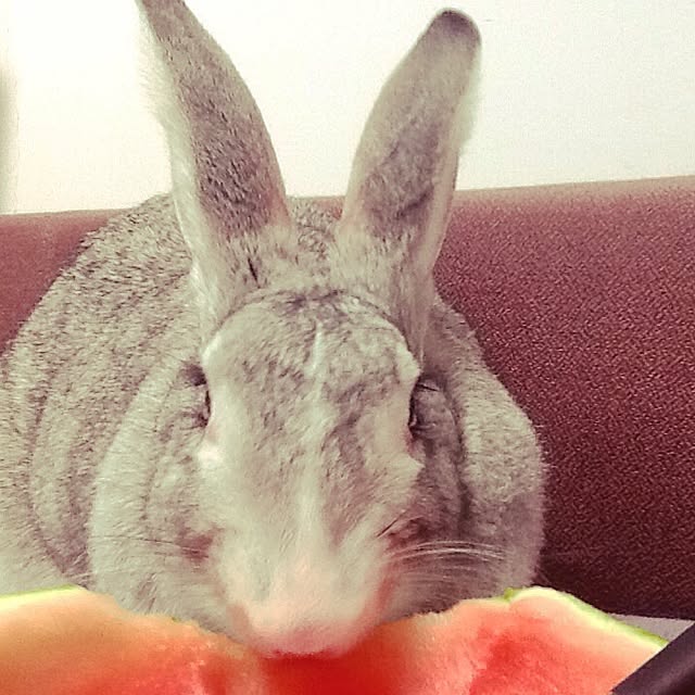 MARIさんの実例写真