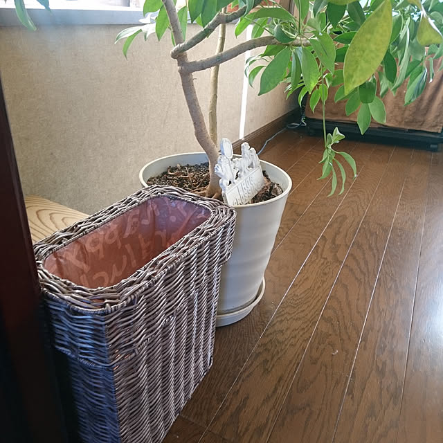 maluhiroさんの実例写真