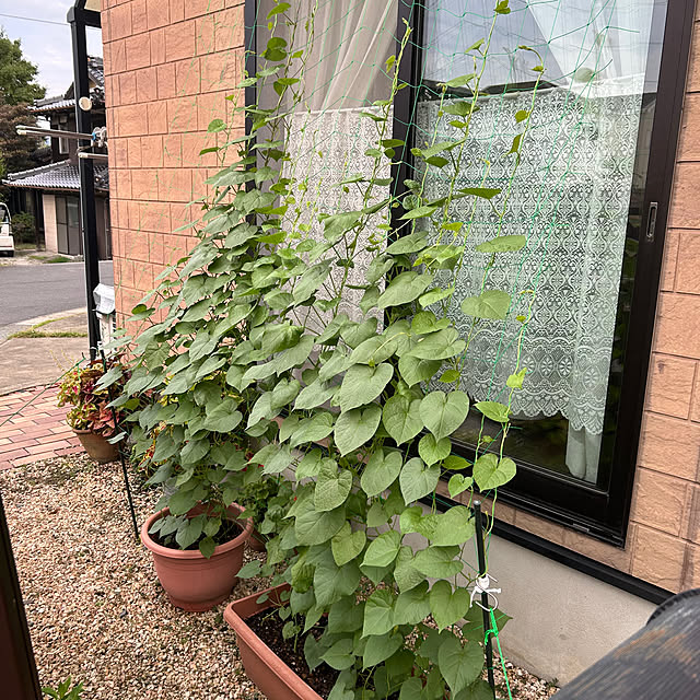 ritsukoさんの部屋