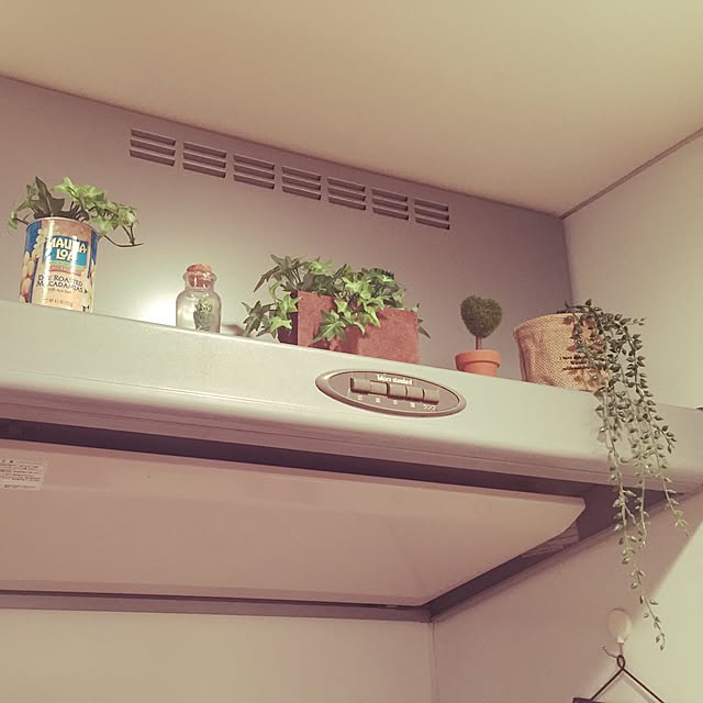 komechiechanさんの実例写真