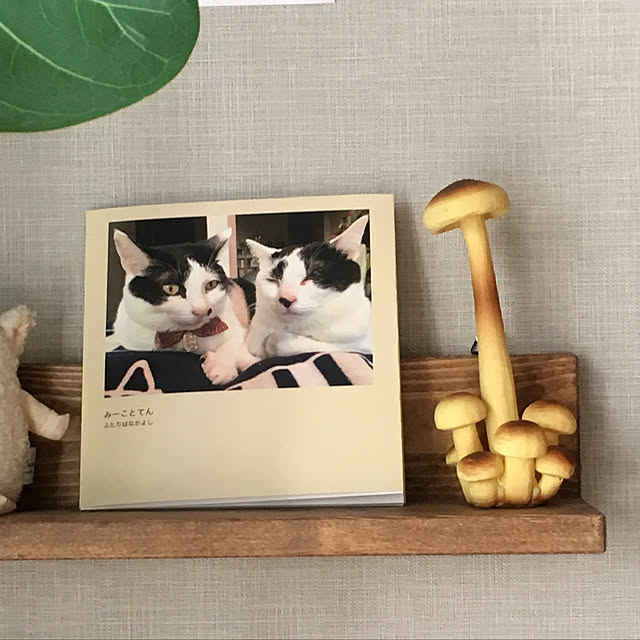 hanaさんの実例写真