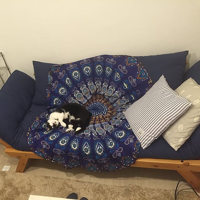 miruさんの実例写真