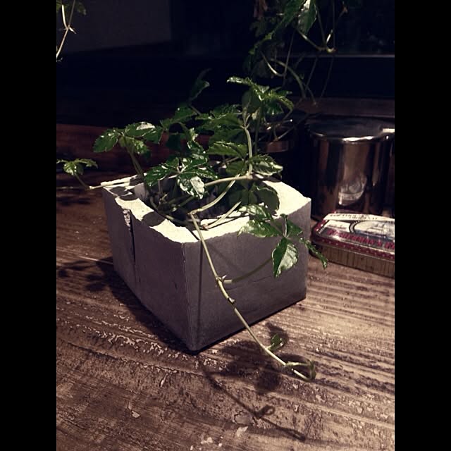 jnkaiさんの実例写真