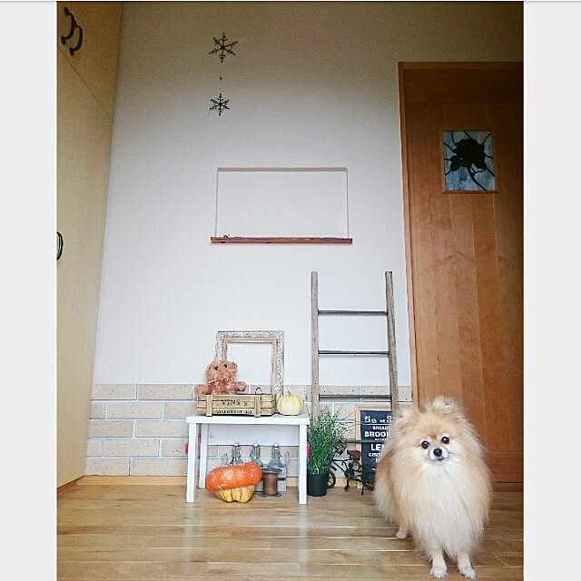 naho81078さんの実例写真