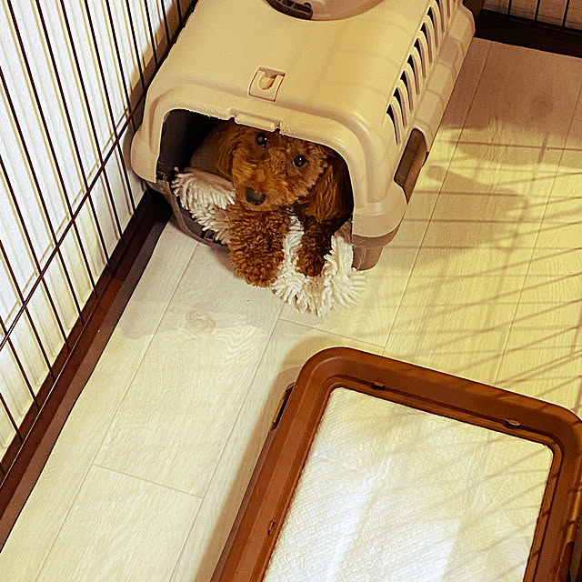 Hiromiさんの実例写真