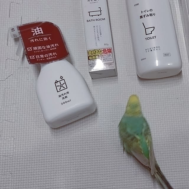 toratanさんの部屋