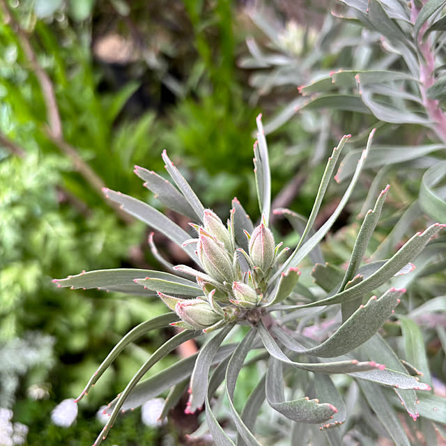 kyoko1124koさんの部屋