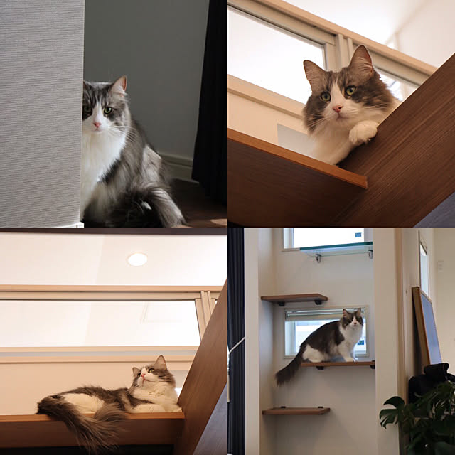 konatsu3310さんの実例写真