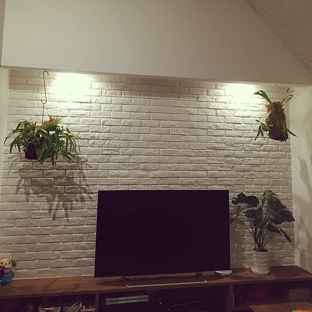 juncobsさんの実例写真