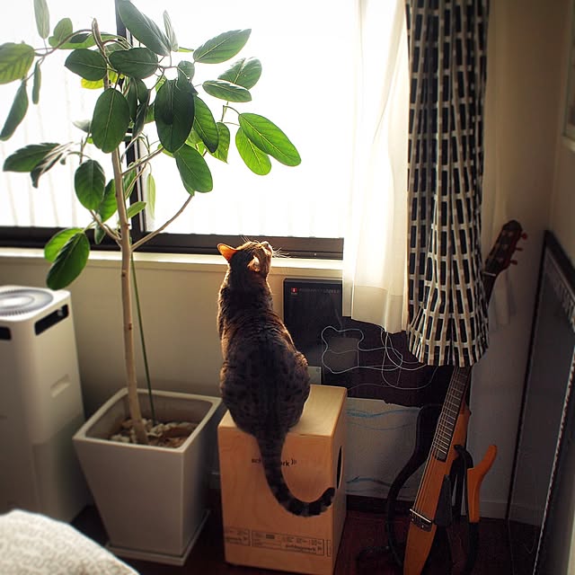 valekさんの実例写真