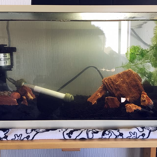 OLAさんの実例写真